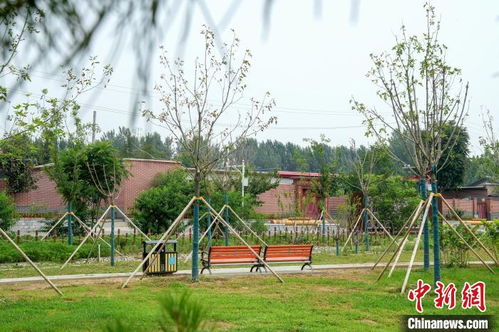 北京花園鄉(xiāng)村建設(shè)結(jié)碩果 兩鎮(zhèn)四村生態(tài)改造初步完成
