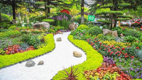 日照市第四屆園林綠化行業(yè)花藝環(huán)境設(shè)計(jì)師技能競賽成功舉辦，助推園林綠化高質(zhì)量發(fā)展