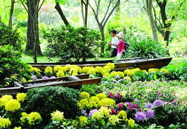北京園林綠化局精準(zhǔn)部署第九屆園博會花卉布置，打造生態(tài)園林新標(biāo)桿