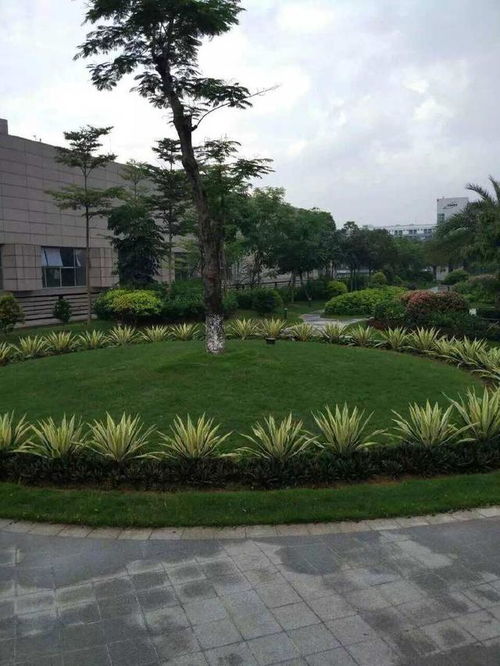 園林綠化養(yǎng)護(hù)之道路養(yǎng)護(hù)要求