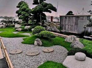 屋頂上的都市綠洲 上海花園設(shè)計(jì)中的鮮花綠植與園林藝術(shù)